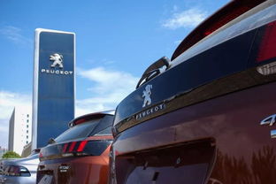 法系車(chē) 奢侈品牌榮耀與我無(wú)關(guān)